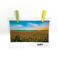 12 Packs: 30 ct. (360 total) Medium Neon Clothespins by Recollections™