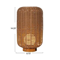 Hello Honey® 14.25" Natural Plastic & Woven Rattan LED Lamp, 2ct.