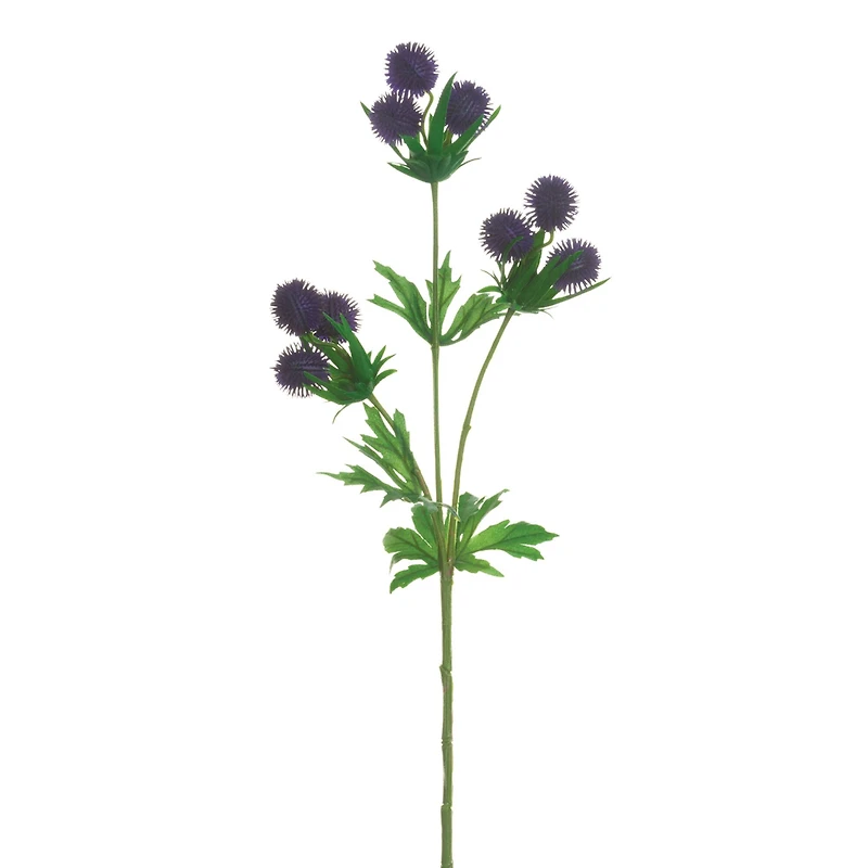 Purple Globe Thistle Spray