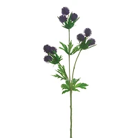 Purple Globe Thistle Spray