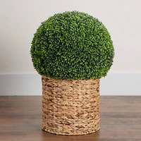 2ft. UV-Resistant Artificial Boxwood Ball Topiary in Hyacinth Weave Basket