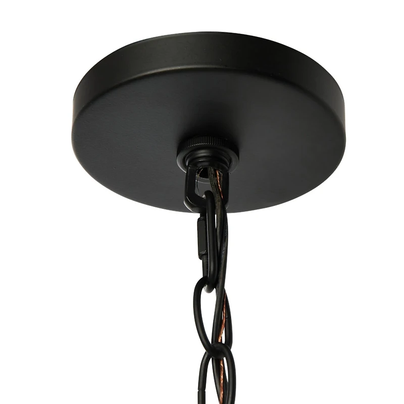 Hello Honey® Robert Stevenson Lighting Magnolia 25" Matte Black 5-Light White Washed Wood and Metal Chandelier