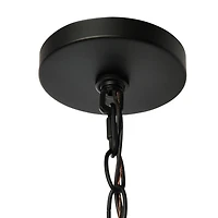 Hello Honey® Robert Stevenson Lighting Magnolia 25" Matte Black 5-Light White Washed Wood and Metal Chandelier