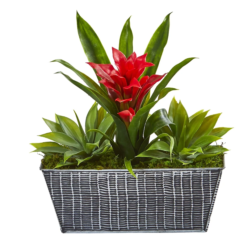 11" Bromeliad & Agave in Embossed Tin Planter