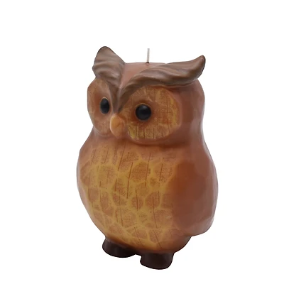 4.75" Owl Unscented Candle by Ashland®