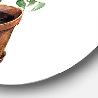 Designart - Ficus Benjamina In Clay Flowerpot