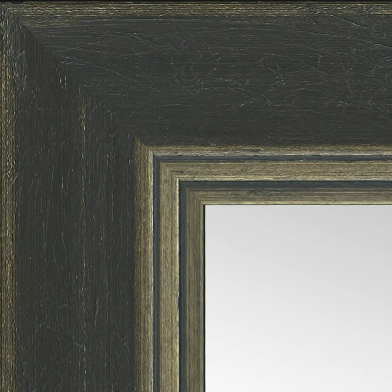 Timeless Frames® Dara Black & Silver 24" x 30" Framed Mirror