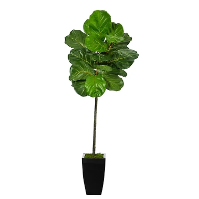 4.5ft. Fiddle Leaf Tree in Black Metal Planter