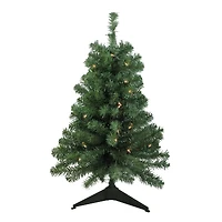 3ft. Pre-Lit Green Blackwater Fir Artificial Christmas Tree, Clear Lights