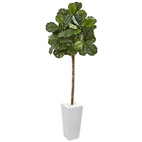 6.5ft. Fiddle Leaf Fig Tree in White Planter