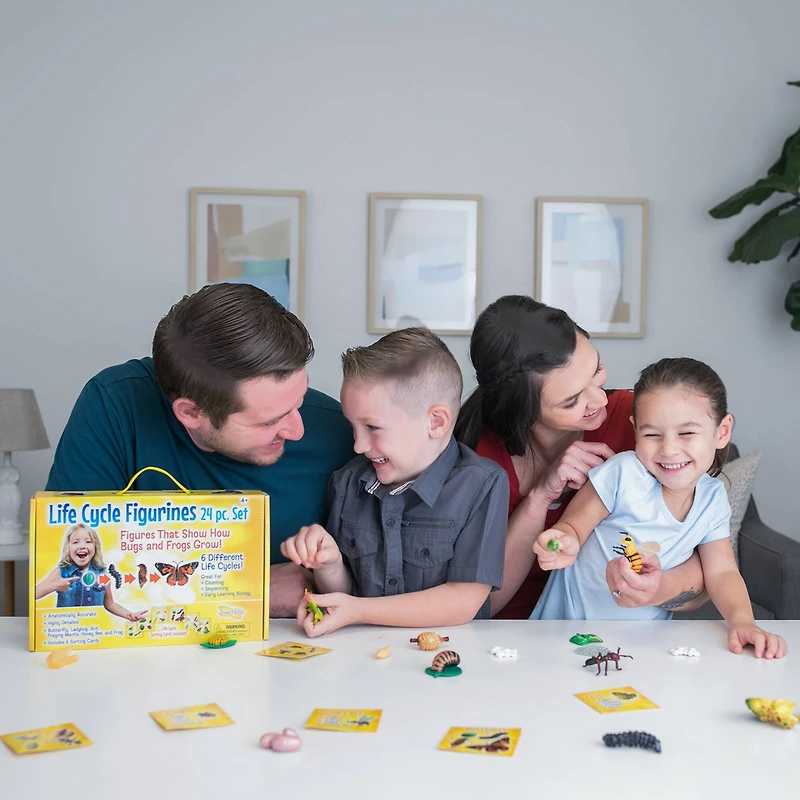 Insect Lore Life Cycle Figurine 24 Piece Set