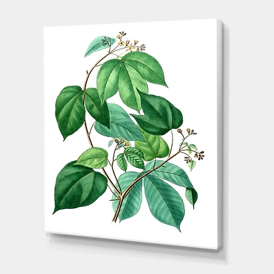 Designart - Vintage Green Leaves Plants III