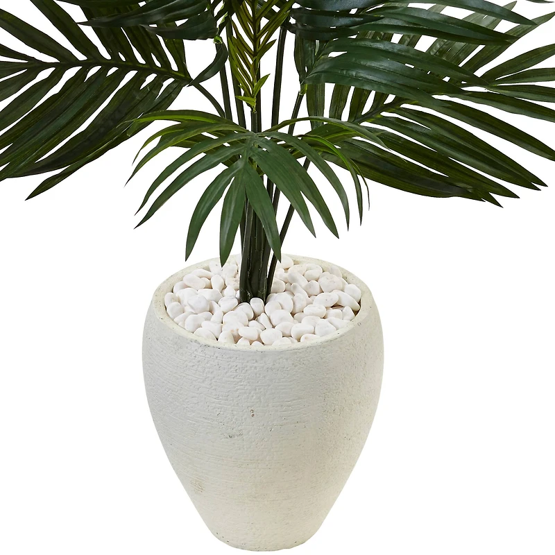4.5ft. Kentia Palm Tree in White Oval Planter