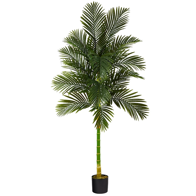 7ft. Potted Golden Cane Palm Tree