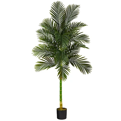 7ft. Potted Golden Cane Palm Tree