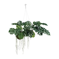 Hello Honey® 51" Lush Green Hanging Monstera Kokedama
