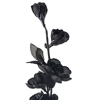 Black Blossom Spray by Ashland®