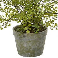 13" Maiden Hair Artificial Plant in Decorative Planter