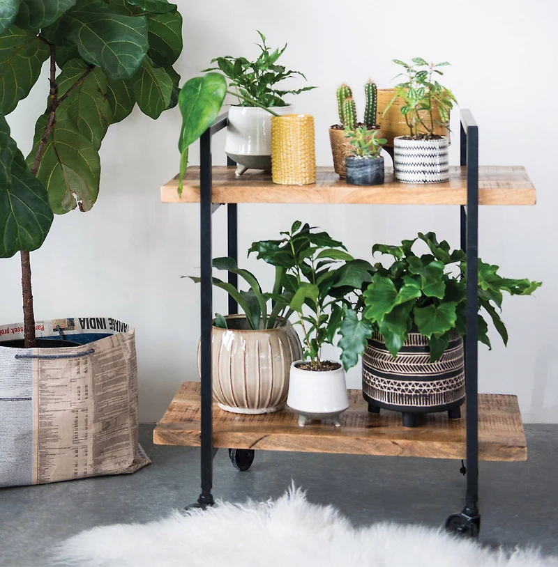 Hello Honey® 8" Black Patterned Round Stoneware Flower Pot