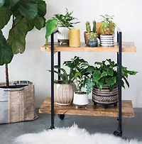 Hello Honey® 8" Black Patterned Round Stoneware Flower Pot