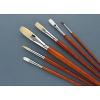 Protégé Hog Bristle Long Handle Variety 6 Piece Brush Set