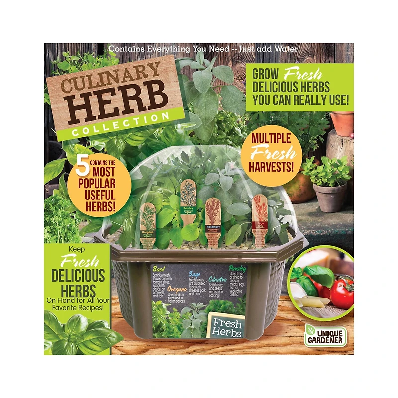 Biosphere Terrarium - Culinary Herb Collection