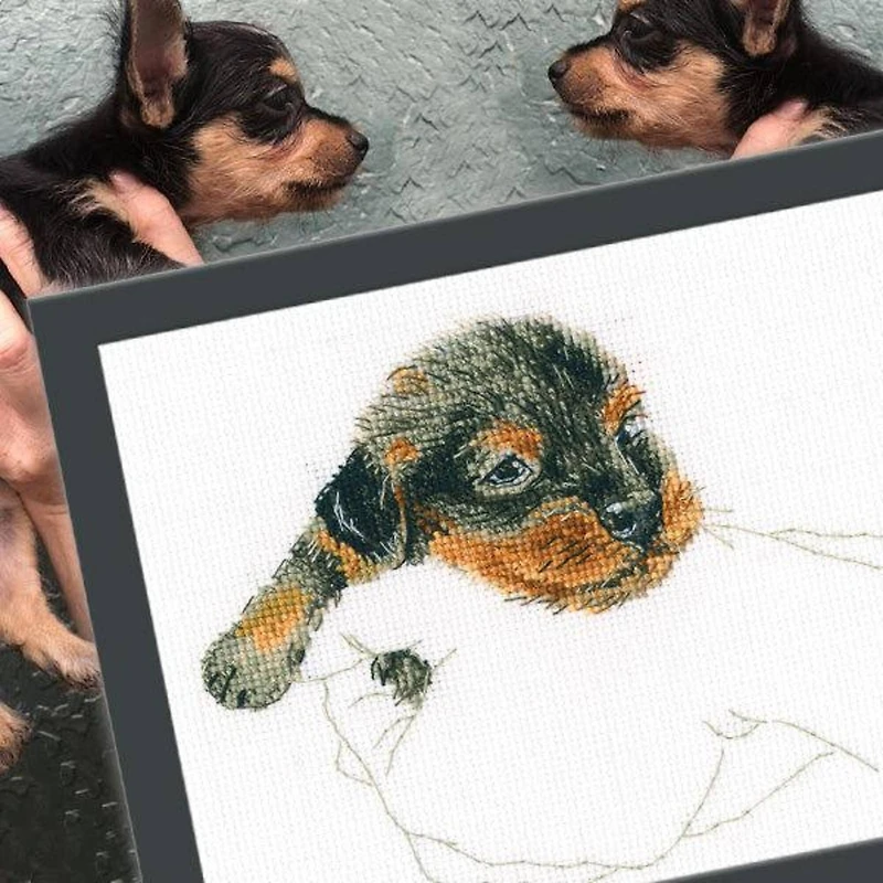 RTO Warmth in Palms Puppy Cross Stitch Kit