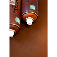 Montana™ RUST Effect 13.5oz. Brown Spray Paint
