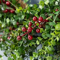 Glitzhome® 28"D Christmas Greenery PE Eucalyptus Wreath with Red Berries