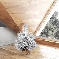 24" Unlit Frosted Beckett Pine Artificial Christmas Tree