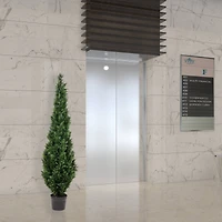 6ft. Potted Cedar Tree