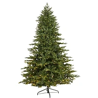 7.5ft. Pre-Lit Wyoming Spruce Artificial Christmas Tree with Clear LED Lights