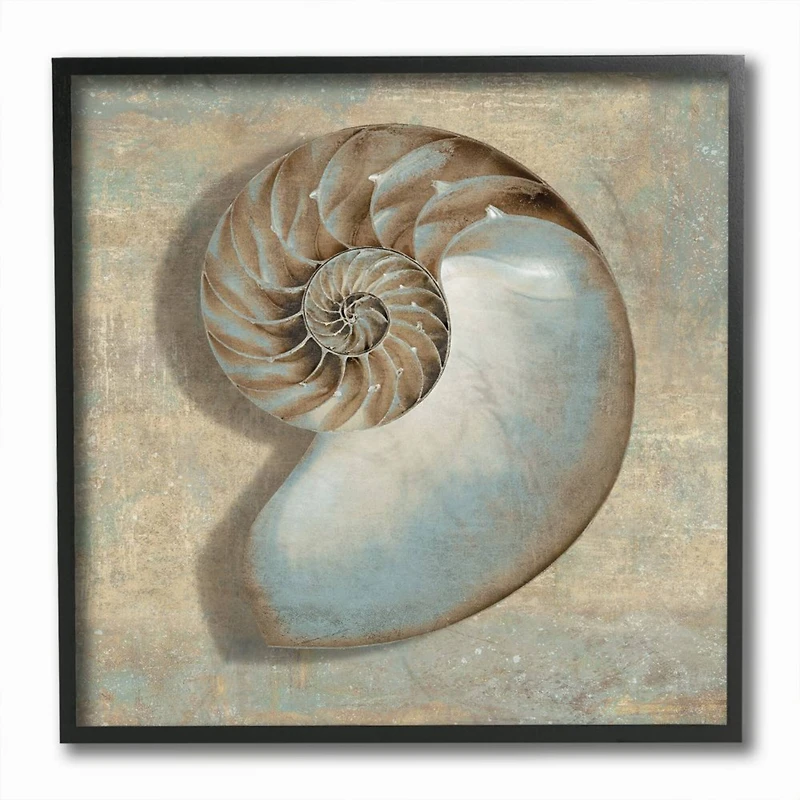 Stupell Industries Shell Beach Objects Design Black Framed Wall Art