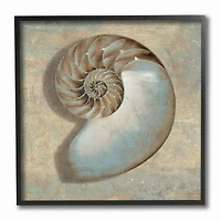 Stupell Industries Shell Beach Objects Design Black Framed Wall Art