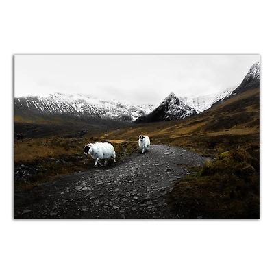 Herd Travel Canvas Wall Art