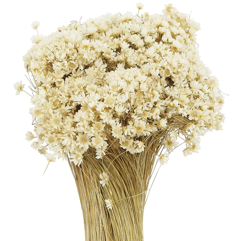 13" Natural Campo Flowers by Ashland®