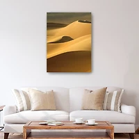 In the Dunes 3 Canvas Giclee