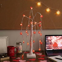 2ft. Pre-Lit Artificial Valentine's Day Willow Tree with 24 Heart Shaped LED Lights