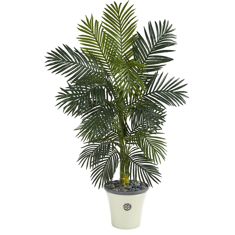 5ft. Golden Cane Palm Tree in White Planter