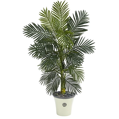 5ft. Golden Cane Palm Tree in White Planter