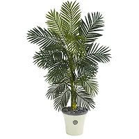 5ft. Golden Cane Palm Tree in White Planter
