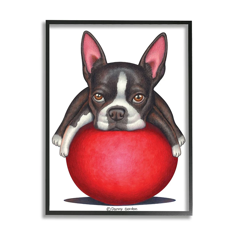 Stupell Industries Boston Terrier Big Red Ball Pet Dog Illustration Framed Wall Art