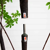 8ft. Potted Artificial Minimalist Enkianthus Tree