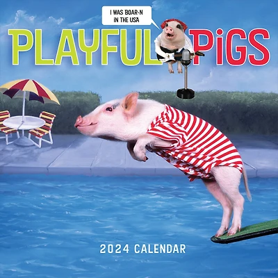 TF Publishing 2024 Playful Pigs Wall Calendar