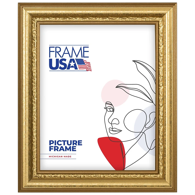Frame USA American Value Gold Single Image Picture Frame