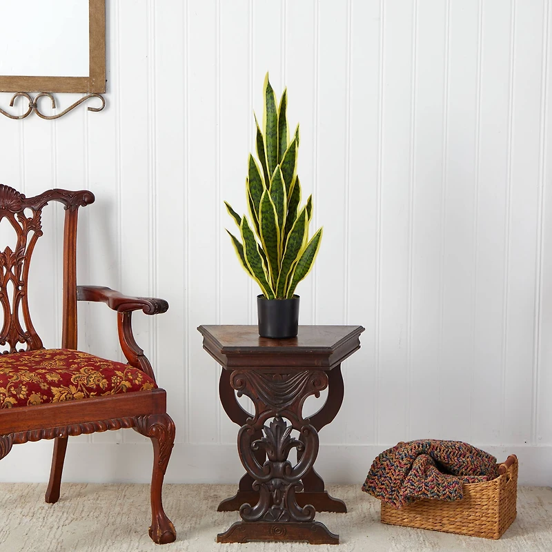 2.5ft. Potted Variegated Snake Plant