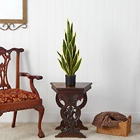 2.5ft. Potted Variegated Snake Plant