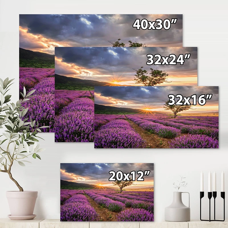 Designart - Sunrise & Dramatic Clouds Over Lavender Field VIII