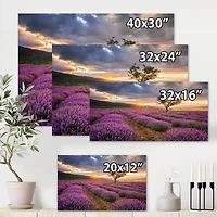 Designart - Sunrise & Dramatic Clouds Over Lavender Field VIII