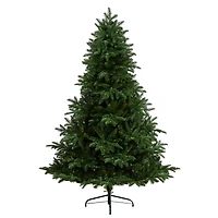 6ft. Pre-Lit South Carolina Spruce Artificial Christmas Tree, Clear Lights